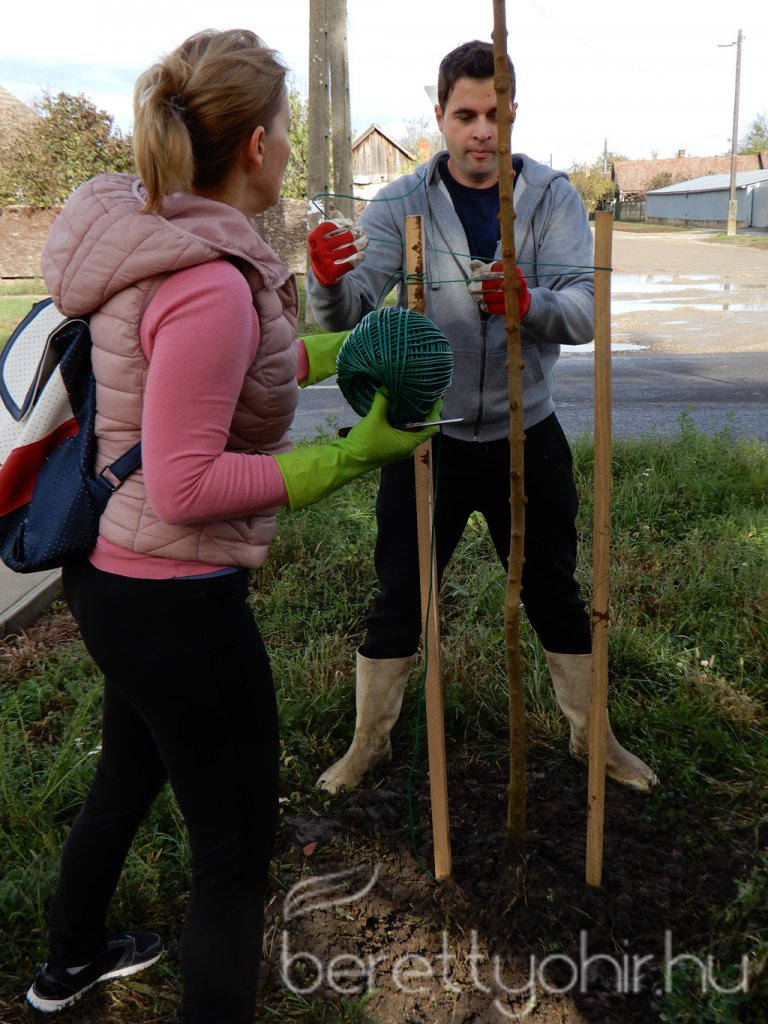 Közösségi faültetés Berettyóújfaluban 19